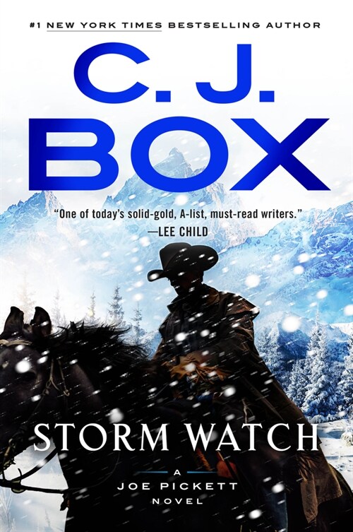 Storm Watch (Paperback)