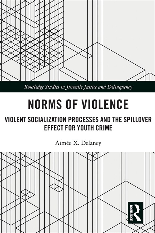 Norms of Violence : Violent Socialization Processes and the Spillover Effect for Youth Crime (Paperback)