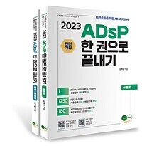 2023 ADsP 한 권으로 끝내기 (이론 + 요약 문제)