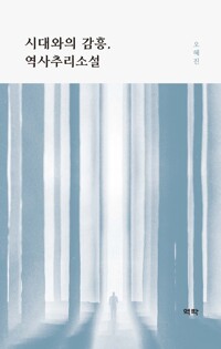 시대와의 감흥, 역사추리소설 커버