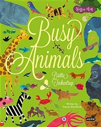 Busy animals :동물의 세계 