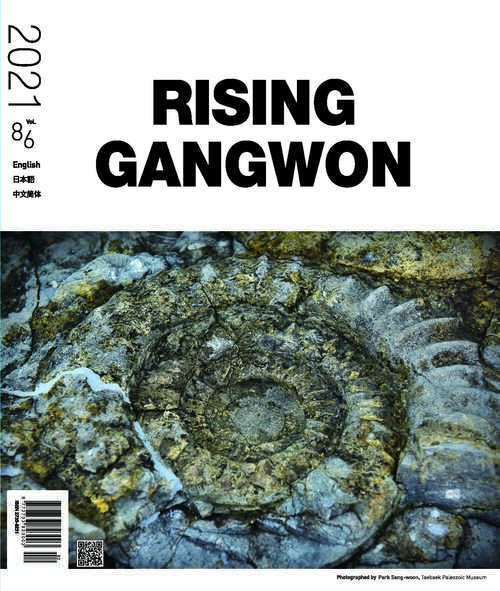 RISING GANGWON Volume 86