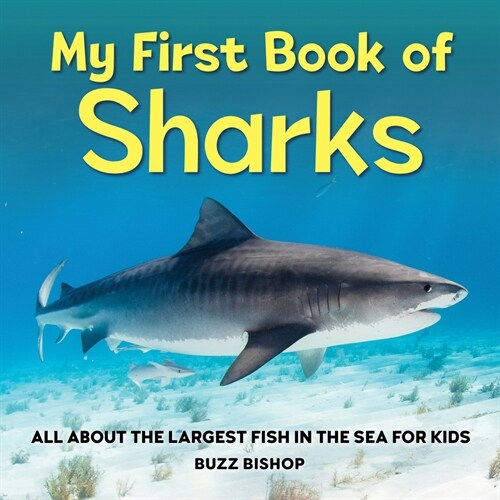 My First Book of Sharks: All about the Largest Fish in the Sea for Kids (Hardcover)