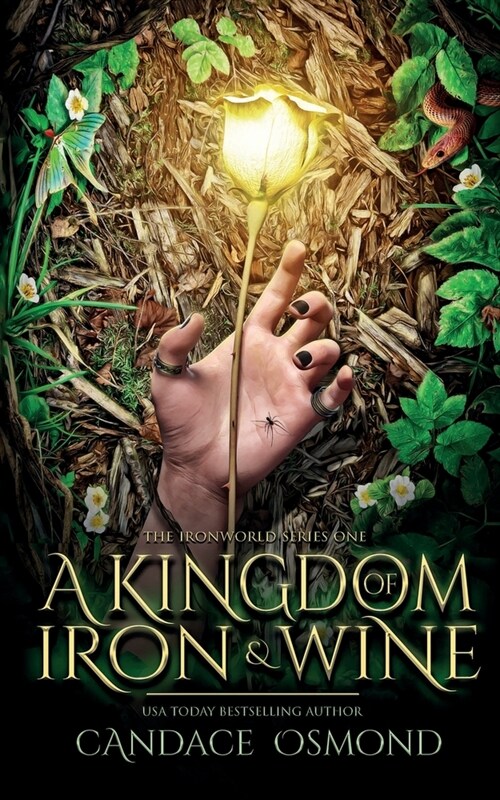 A Kingdom of Iron & Wine (Paperback)