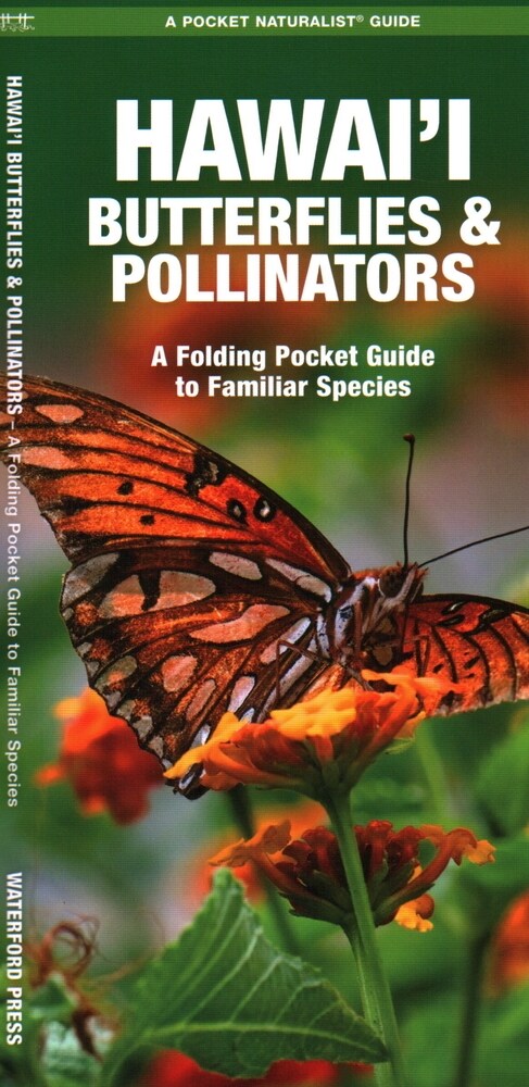 Hawaii Butterflies and Pollinators: A Folding Pocket Guide to Familiar Species (Paperback, 2)