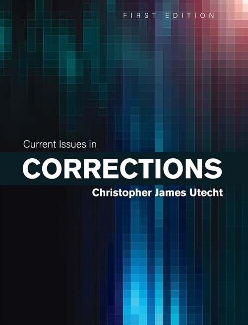 Current Issues in Corrections (Hardcover)