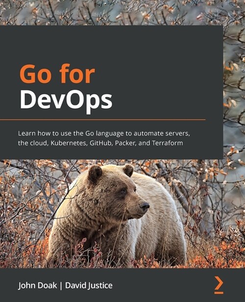 Go for DevOps : Learn how to use the Go language to automate servers, the cloud, Kubernetes, GitHub, Packer, and Terraform (Paperback)