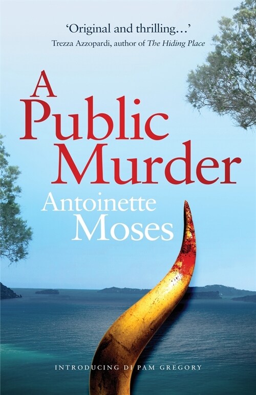 A Public Murder: Introducing DI Pam Gregory (Paperback)