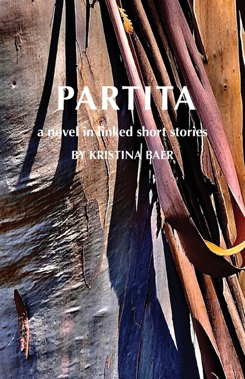 Partita-a novel in linked short stories (Paperback)