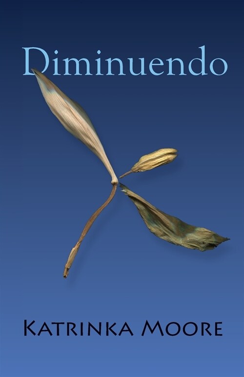 Diminuendo (Paperback)