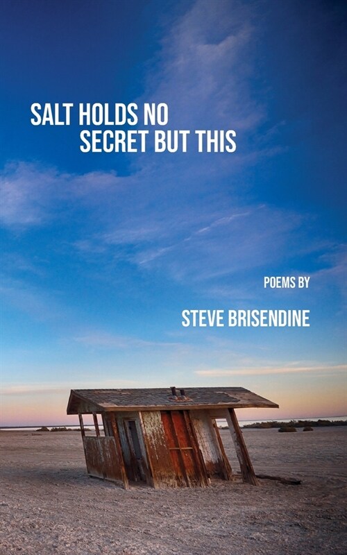 Salt Holds No Secrets But This (Paperback)