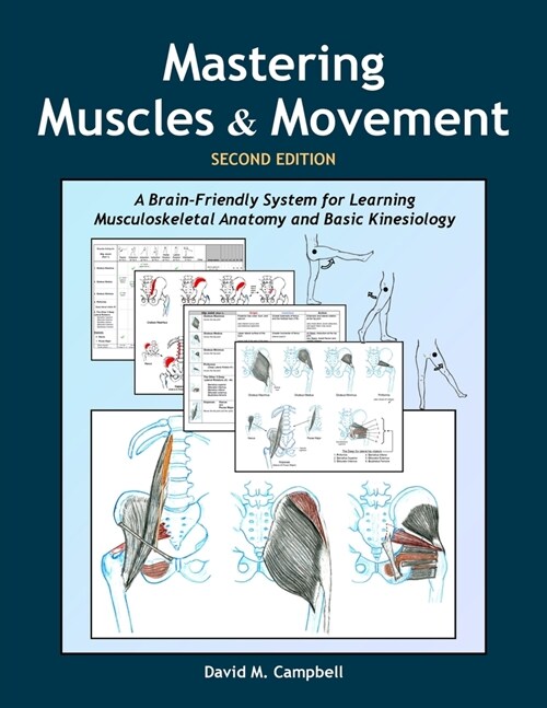 Mastering Muscles and Movement: A Brain-Friendly System for Learning Musculoskeletal Anatomy and Basic Kinesiology (Paperback, 2)