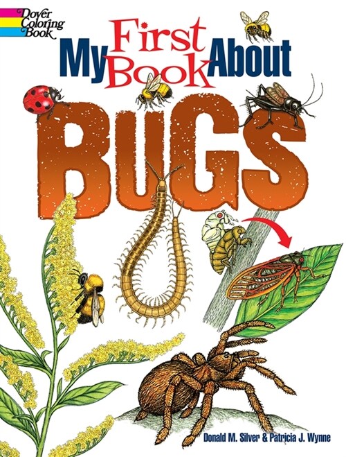 My First Book about Bugs (Paperback)