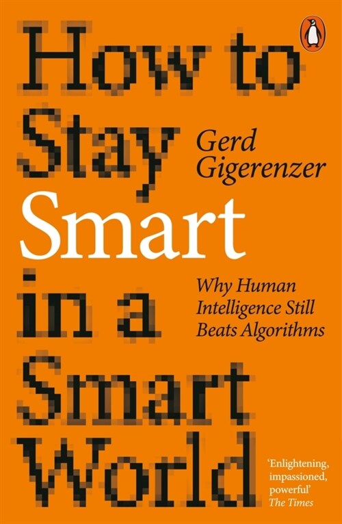 How to Stay Smart in a Smart World : Why Human Intelligence Still Beats Algorithms (Paperback)