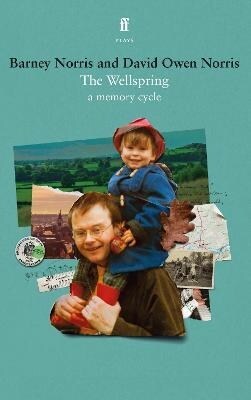 The Wellspring (Paperback, Main)