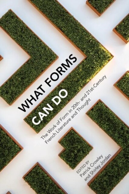 What Forms Can Do : The Work of Form in 20th- and 21st- Century French Literature and Thought (Paperback)