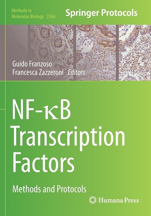 NF-κB Transcription Factors: Methods and Protocols (Paperback)