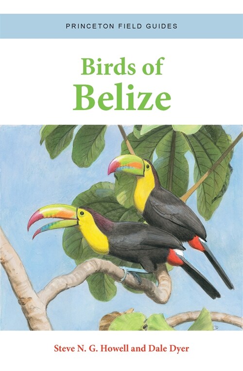 Birds of Belize (Paperback)