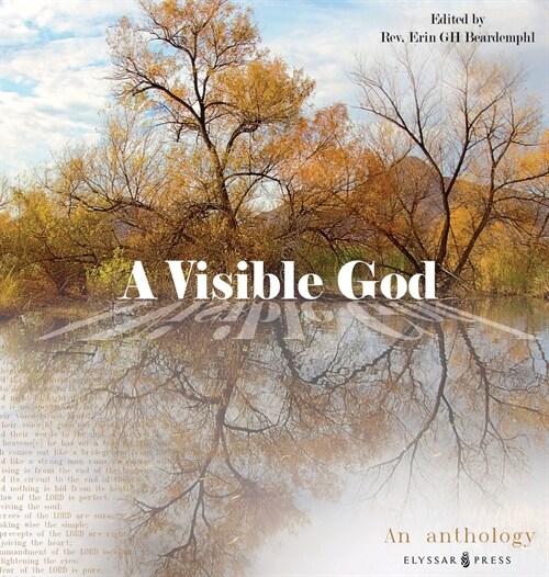 A Visible God (Hardcover)