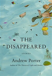 The Disappeared: Stories (Hardcover, Deckle Edge)