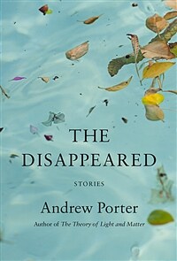 The Disappeared: Stories (Hardcover)