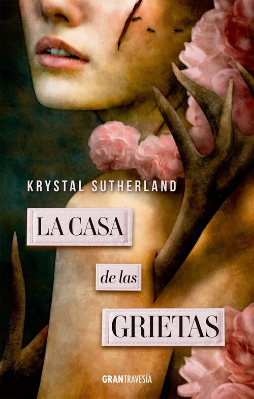 CASA DE LAS GRIETAS, LA (Paperback)