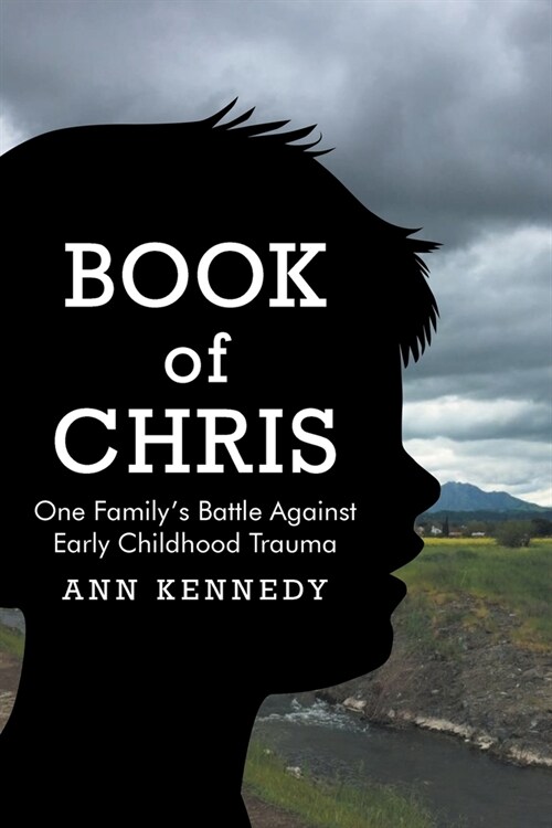 Book of Chris: One Familys Battle Against Early Childhood Trauma (Paperback)
