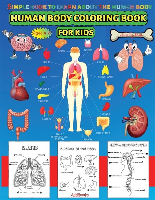 Human Body coloring & Activity Book for Kids Simple Book to Learn About the Human Body: Human Anatomy Coloring Book for Toddlers Ages 4-8 (Paperback)