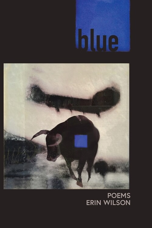 Blue: Poems (Paperback)