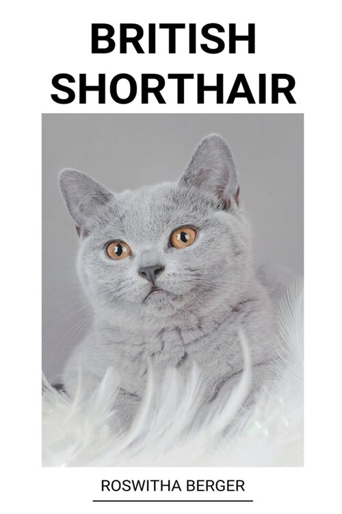 British Shorthair (Paperback)