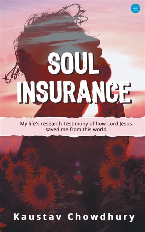 Soul Insurance My lifes research Testimony of how Lord Jesus saved me from this world (Paperback)