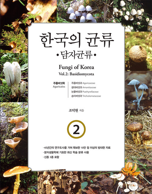 한국의 균류 2 : 담자균류