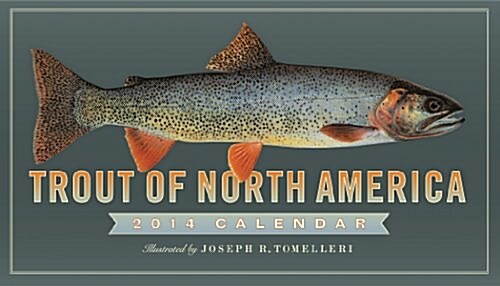 Trout of North America 2014 Calendar (Paperback, Wall)