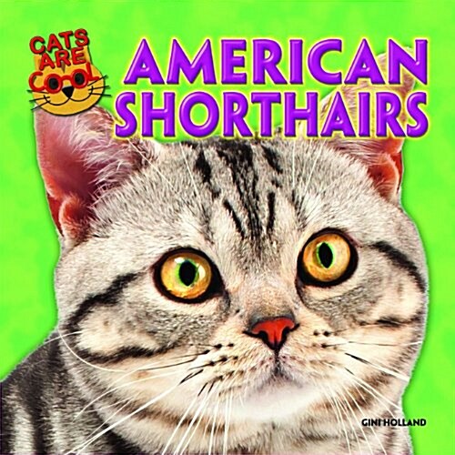 American Shorthairs (Library Binding)