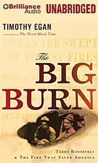 Big Burn (MP3, Unabridged)