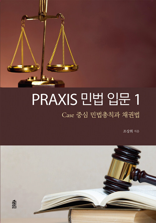 PRAXIS 민법 입문 1