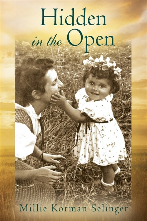 Hidden in the Open (Paperback)