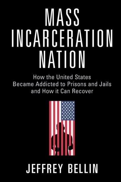 Mass Incarceration Nation : How the United States Became Addicted to Prisons and Jails and How it Can Recover (Paperback)