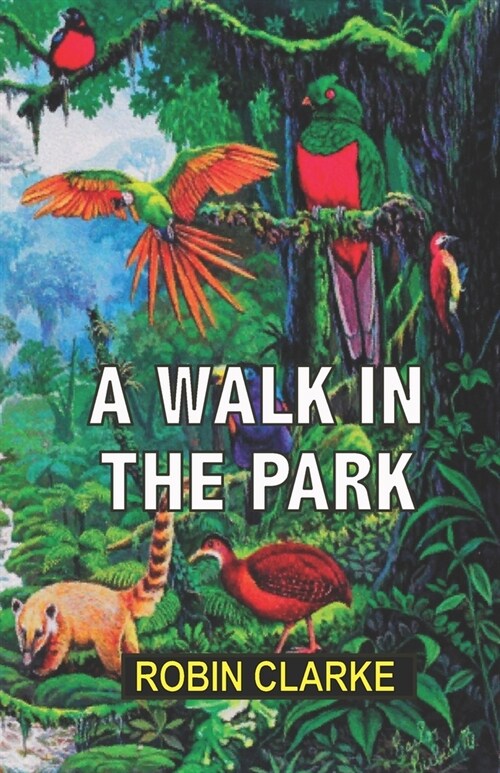 A Walk in the Park (Paperback)