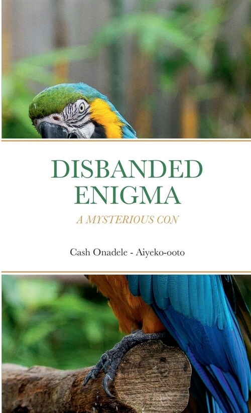 Disbanded Enigma: A Mysterious Con (Paperback)