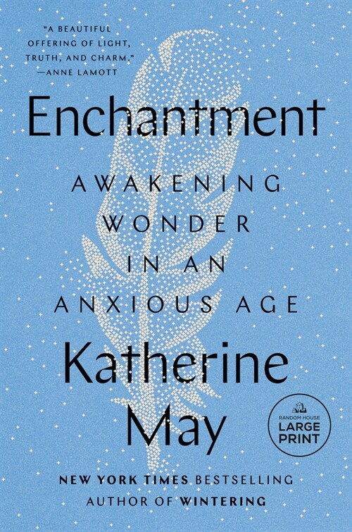Enchantment: Awakening Wonder in an Anxious Age (Paperback)