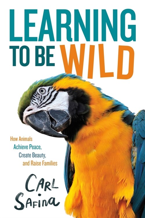 Learning to Be Wild (a Young Readers Adaptation): How Animals Achieve Peace, Create Beauty, and Raise Families (Hardcover)