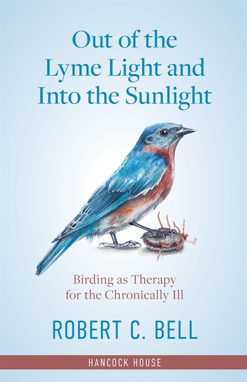 Out of the Lyme Light and Into the Sunlight: Birding as Therapy for the Chronically Ill (Hardcover)