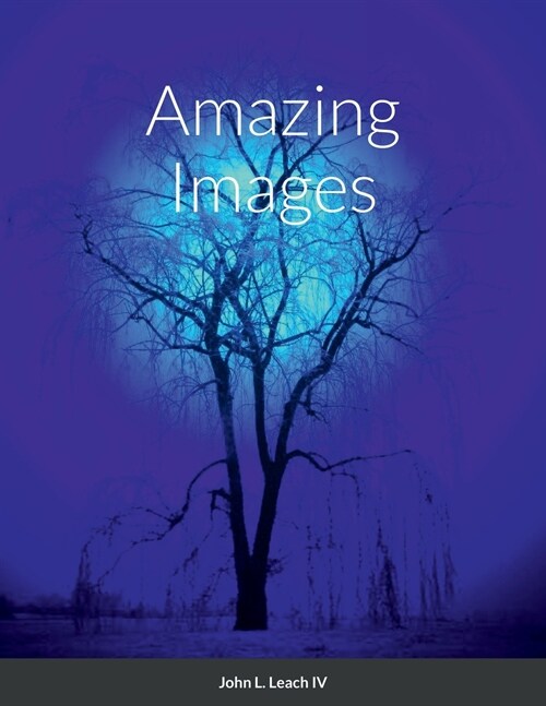 Amazing Images (Paperback)