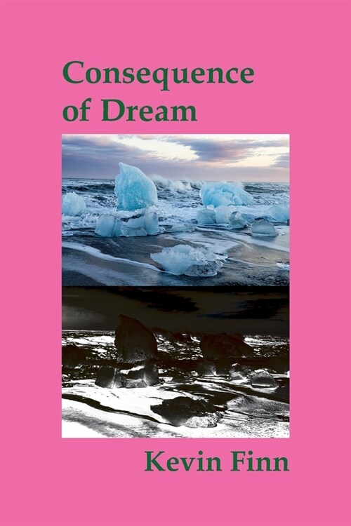 Consequence of Dream (Paperback)