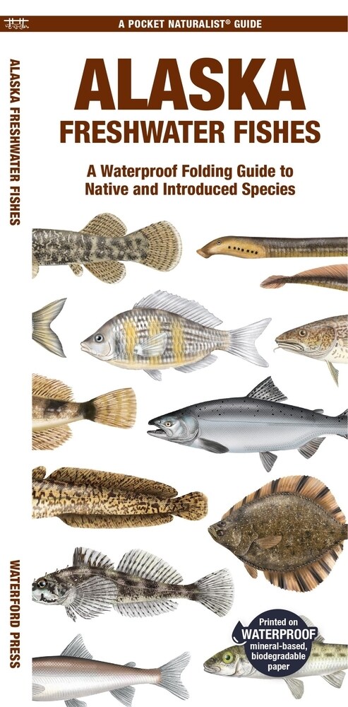 Alaska Freshwater Fishes: A Waterproof Folding Guide to Native and Introduced Species (Paperback)