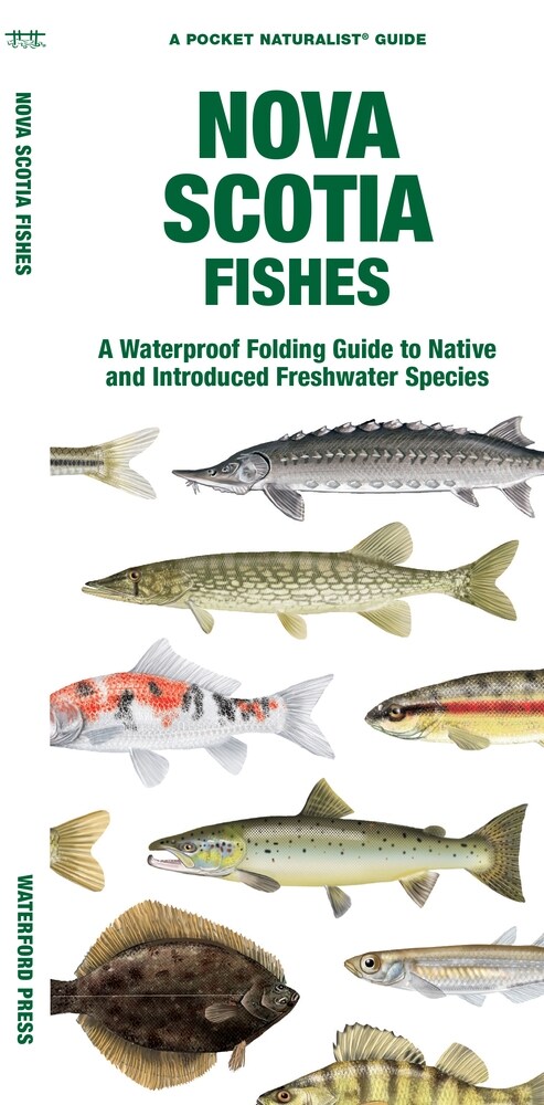 Nova Scotia Fishes: A Waterproof Folding Guide to Native and Introduced Freshwater Species (Paperback)