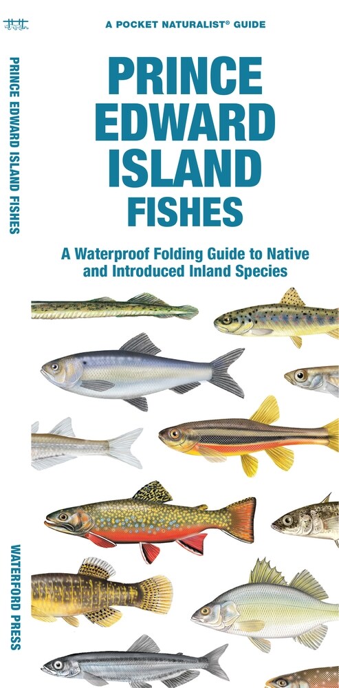 Prince Edward Island Fishes: A Waterproof Folding Guide to Native and Introduced Freshwater Species (Paperback)