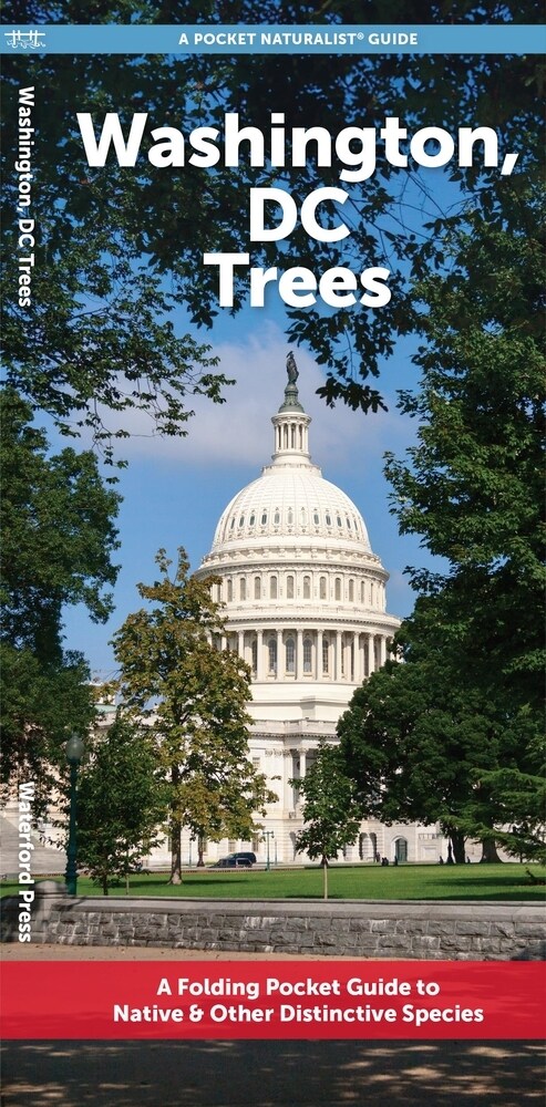 Washington, DC Trees: A Folding Pocket Guide to Native & Other Distinctive Species (Paperback)