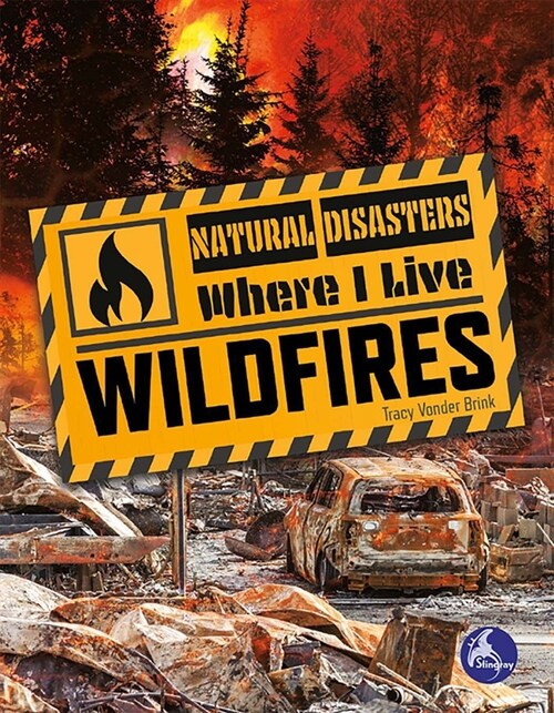 Wildfires (Library Binding)